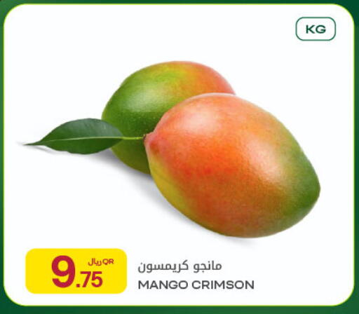 Mango available at شركة الميرة للمواد الاستهلاكية in قطر - الريان