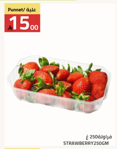 available at Astra Markets in KSA, Saudi Arabia, Saudi - Tabuk
