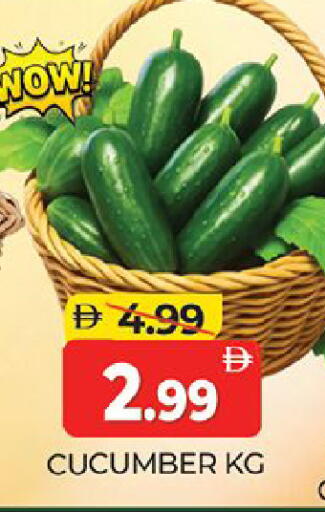 Cucumber available at المدينة in الإمارات العربية المتحدة , الامارات - دبي