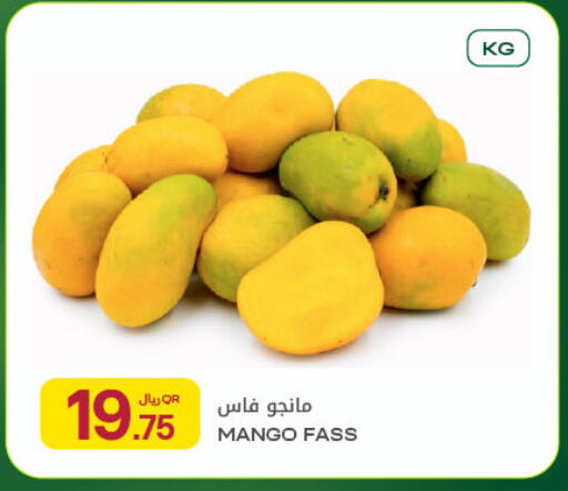 Mango available at شركة الميرة للمواد الاستهلاكية in قطر - الريان