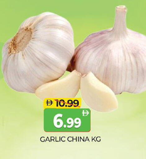 Garlic from China available at المدينة in الإمارات العربية المتحدة , الامارات - دبي
