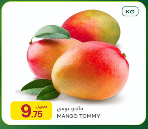 Mango available at شركة الميرة للمواد الاستهلاكية in قطر - الريان