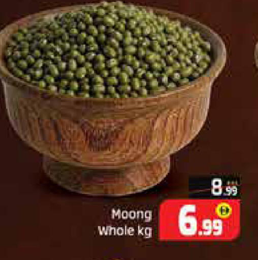 Mango available at مانجو هايبرماركت in الإمارات العربية المتحدة , الامارات - دبي