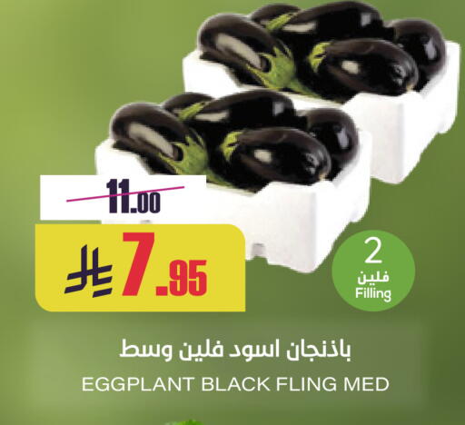 Eggplant available at Sapt in KSA, Saudi Arabia, Saudi - Buraidah