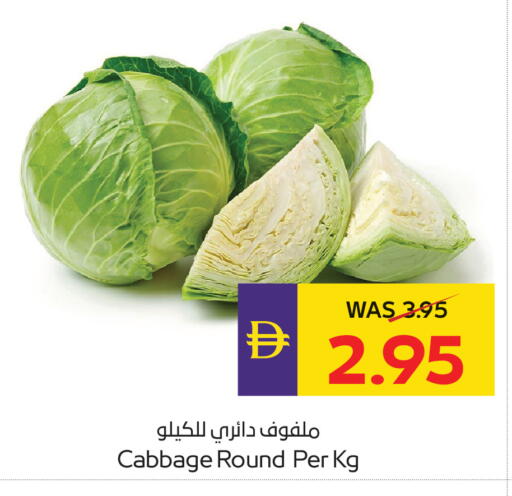 Cabbage available at أدكووب in الإمارات العربية المتحدة , الامارات - ٱلْعَيْن‎