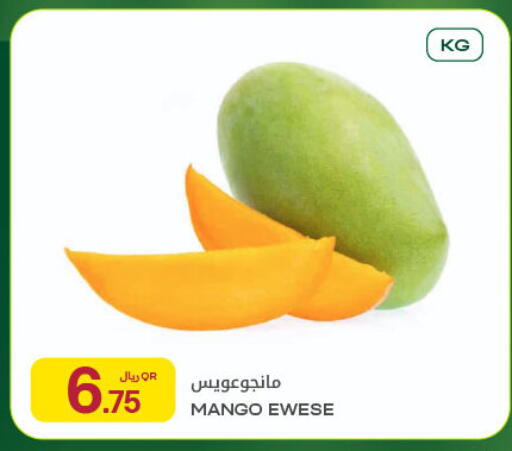 Mango available at شركة الميرة للمواد الاستهلاكية in قطر - الريان