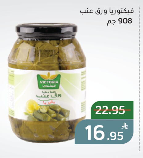 Apple available at Green Apple Market in KSA, Saudi Arabia, Saudi - Al Hasa