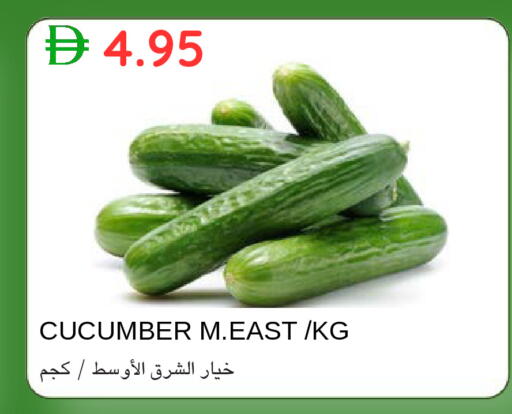 Cucumber available at سيليكت ماركت in الإمارات العربية المتحدة , الامارات - أبو ظبي