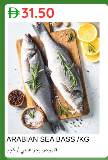 available at سيليكت ماركت in الإمارات العربية المتحدة , الامارات - أبو ظبي