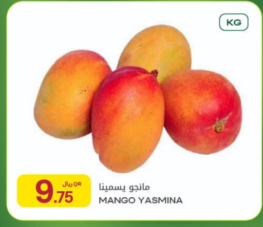 Mango available at شركة الميرة للمواد الاستهلاكية in قطر - الريان