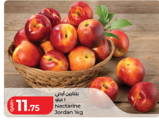 Nectarine from Jordan available at لولو هايبرماركت in قطر - الشمال