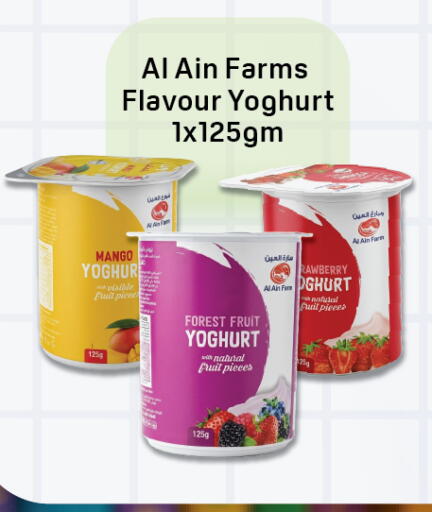 Mango available at Day to Day Department Store in UAE - Sharjah / Ajman