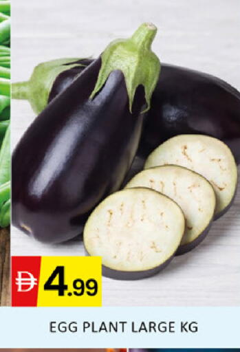 available at المدينة in الإمارات العربية المتحدة , الامارات - دبي