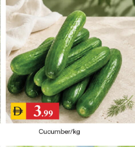 Cucumber available at TALAL MARKET in UAE - Sharjah / Ajman