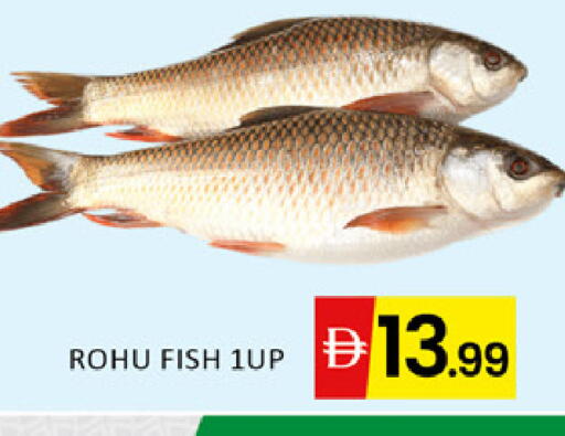 available at المدينة in الإمارات العربية المتحدة , الامارات - دبي