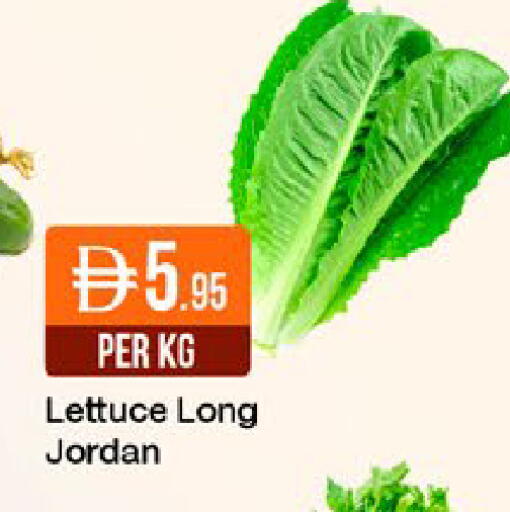 Lettuce from Jordan available at ويست زون سوبرماركت in الإمارات العربية المتحدة , الامارات - دبي