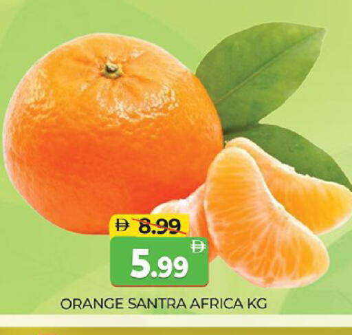 Orange available at المدينة in الإمارات العربية المتحدة , الامارات - دبي