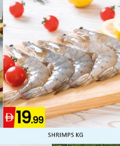 available at المدينة in الإمارات العربية المتحدة , الامارات - دبي