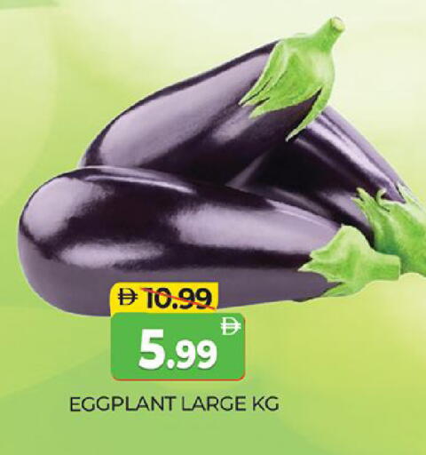 Eggplant available at المدينة in الإمارات العربية المتحدة , الامارات - دبي