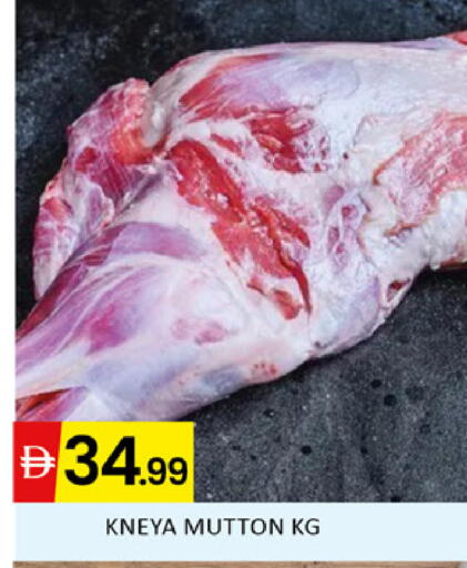 available at المدينة in الإمارات العربية المتحدة , الامارات - دبي