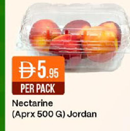 Nectarine from Jordan available at ويست زون سوبرماركت in الإمارات العربية المتحدة , الامارات - دبي