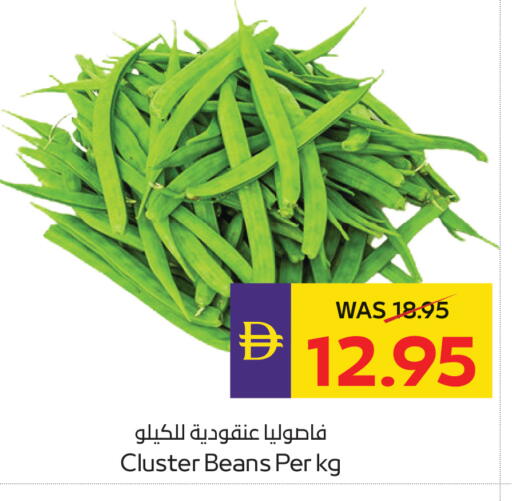 available at أدكووب in الإمارات العربية المتحدة , الامارات - ٱلْعَيْن‎