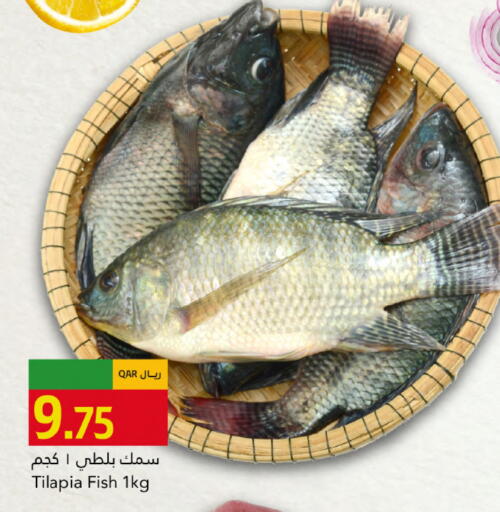 available at جلف فود سنتر in قطر - الوكرة