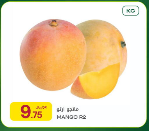 Mango available at شركة الميرة للمواد الاستهلاكية in قطر - الريان