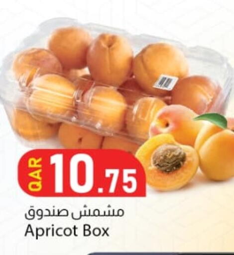 Apricot available at Dana Market in Qatar - Umm Salal
