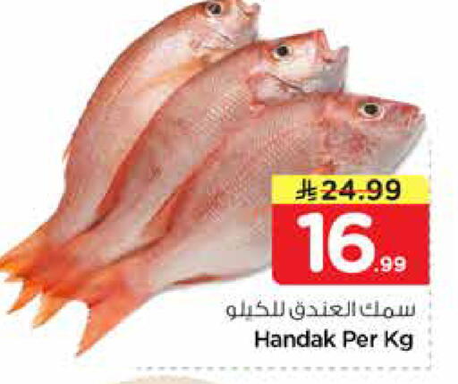 available at نستو in مملكة العربية السعودية, السعودية, سعودية - المجمعة