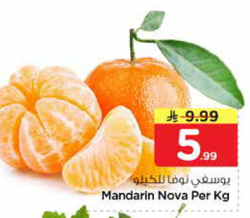 Mandarin available at نستو in مملكة العربية السعودية, السعودية, سعودية - المجمعة