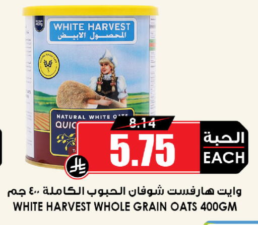 available at أسواق النخبة in مملكة العربية السعودية, السعودية, سعودية - جدة