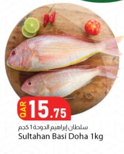 available at دانا ماركت in قطر - الشمال