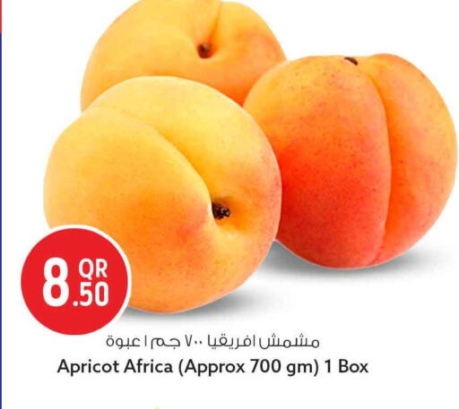 Apricot available at سفاري هايبر ماركت in قطر - أم صلال
