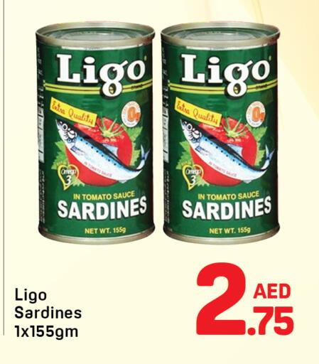 Tomato available at Day to Day Department Store in UAE - Dubai