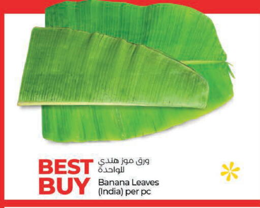 Banana available at لولو هايبرماركت in الإمارات العربية المتحدة , الامارات - ٱلْعَيْن‎