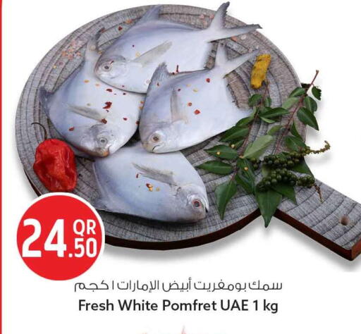 available at سفاري هايبر ماركت in قطر - أم صلال