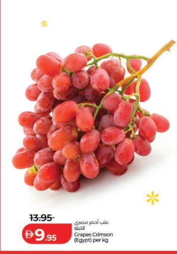 Grapes from Egypt available at لولو هايبرماركت in الإمارات العربية المتحدة , الامارات - ٱلْعَيْن‎