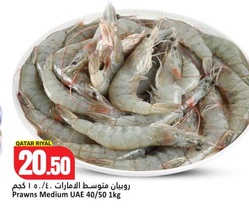 available at دانة هايبرماركت in قطر - الريان