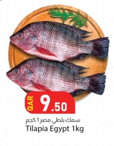 available at Dana Market in Qatar - Al Rayyan