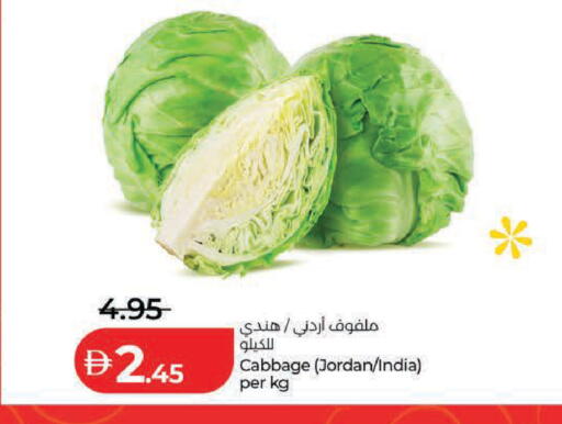 Cabbage from Jordan India available at لولو هايبرماركت in الإمارات العربية المتحدة , الامارات - ٱلْعَيْن‎