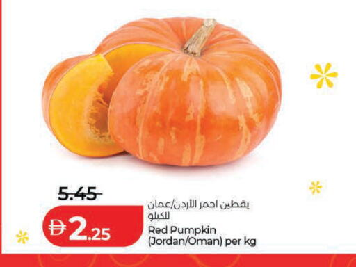 Pumpkin from Jordan Oman available at لولو هايبرماركت in الإمارات العربية المتحدة , الامارات - ٱلْعَيْن‎