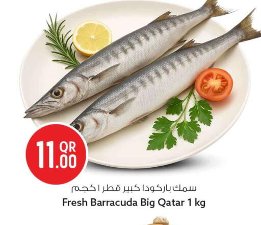 available at سفاري هايبر ماركت in قطر - أم صلال