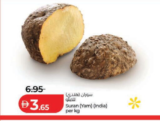 from India available at لولو هايبرماركت in الإمارات العربية المتحدة , الامارات - ٱلْعَيْن‎