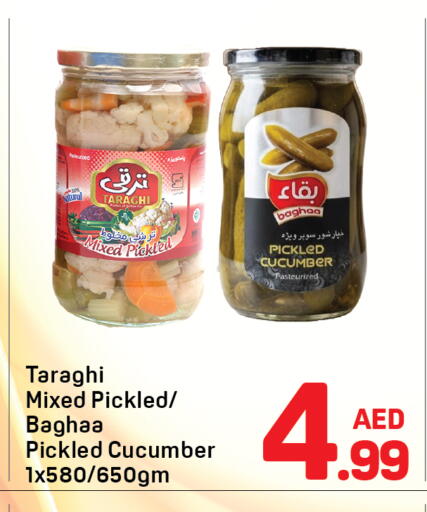 Cucumber available at Day to Day Department Store in UAE - Dubai
