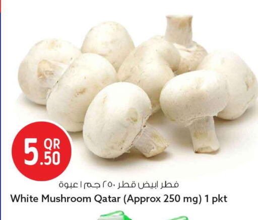 Mushroom from Qatar available at سفاري هايبر ماركت in قطر - أم صلال