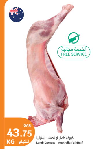 available at سيتي هايبرماركت in قطر - الضعاين