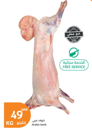 available at سيتي هايبرماركت in قطر - الضعاين
