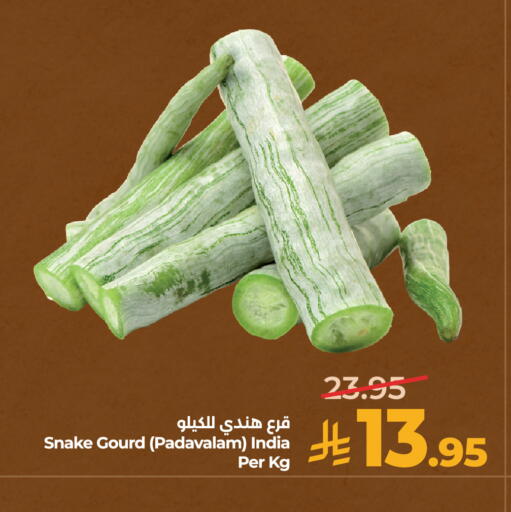 from India available at لولو هايبرماركت in مملكة العربية السعودية, السعودية, سعودية - حائل‎
