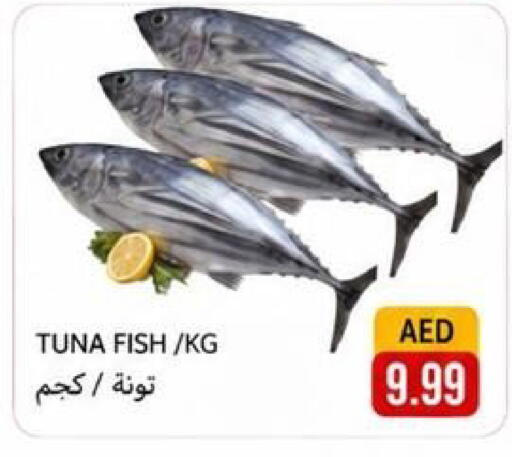 available at Rawabi Market Ajman in UAE - Sharjah / Ajman